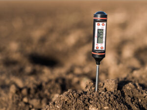 What Is The Purpose Of Soil Testing?