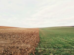 The Importance of Soil Sampling in Managing Soil Stress
