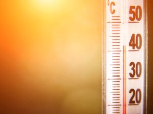 How Apex Environmental Turns Thermal Stress Data into Safer Workplaces